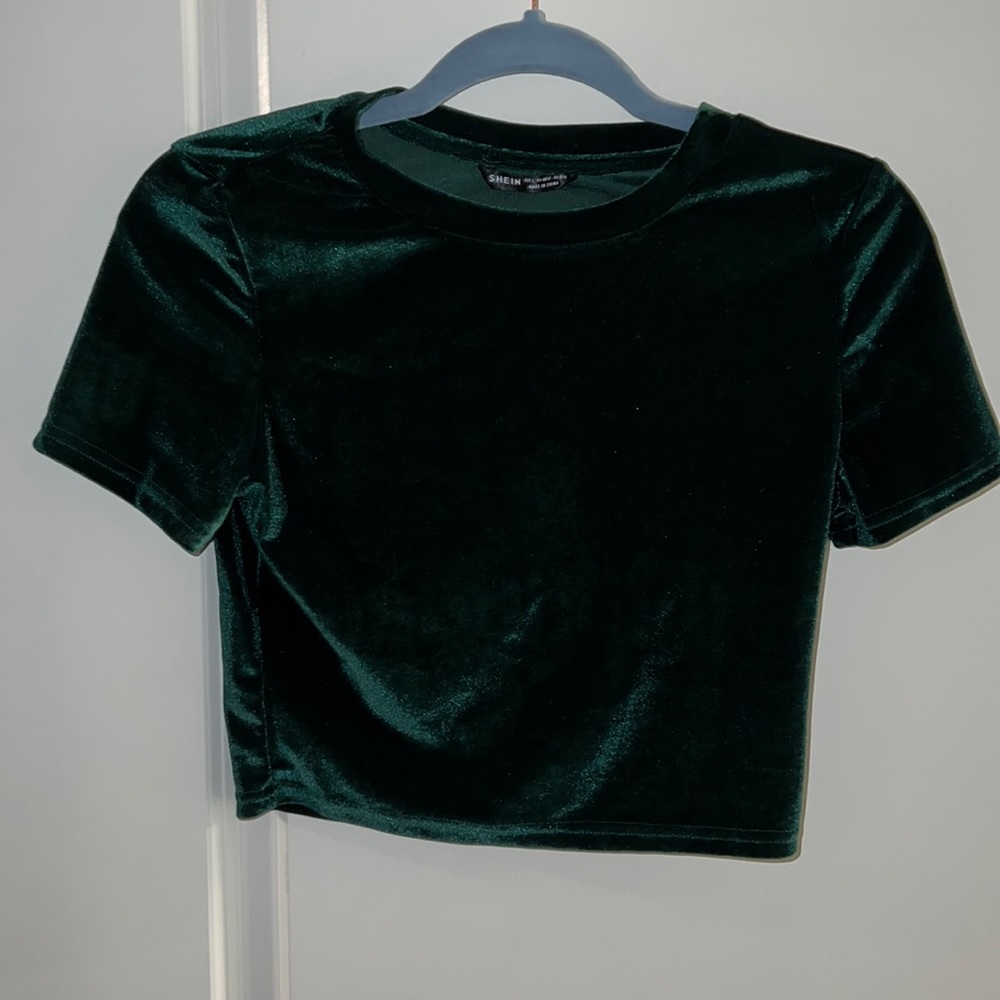 Crew Neck Velvet Crop Top
